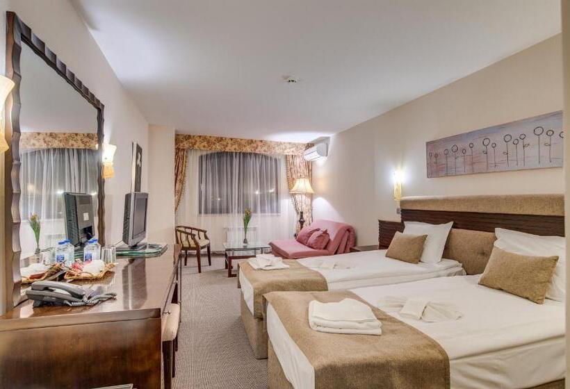 اتاق لوکس, Bansko Spa & Holidays   Free Parking