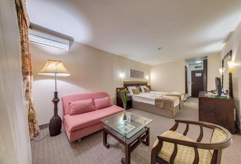 اتاق لوکس, Bansko Spa & Holidays   Free Parking