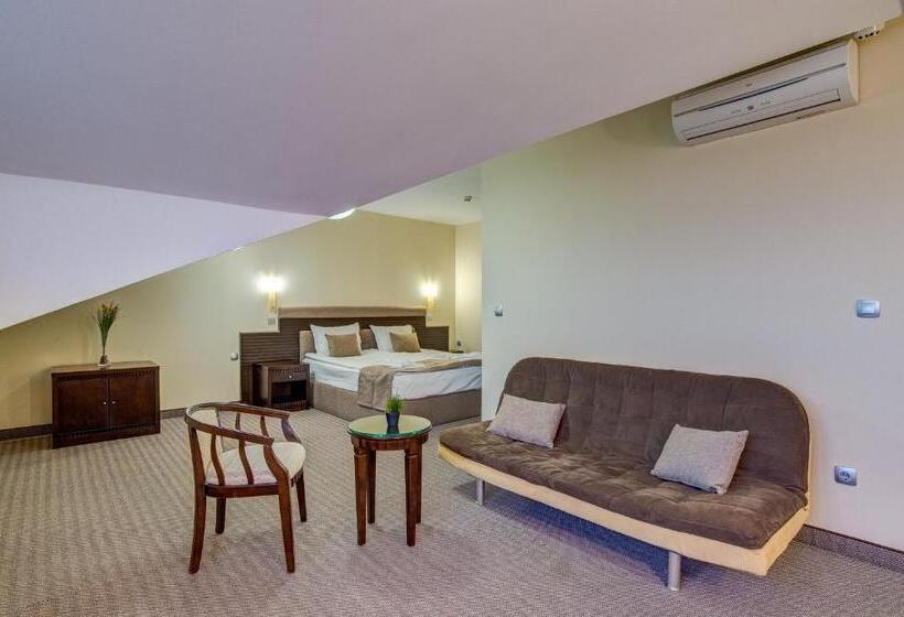 استودیوی استاندارد, Bansko Spa & Holidays   Free Parking