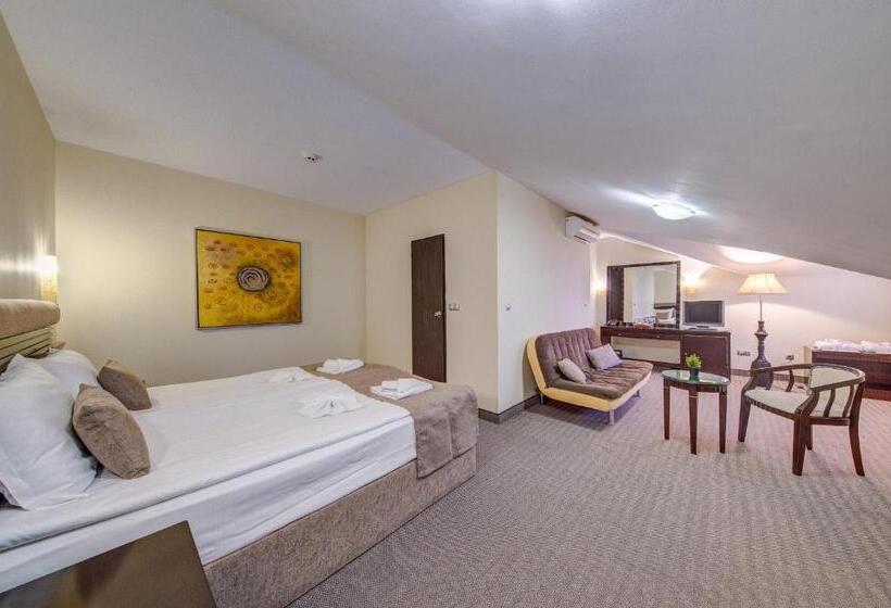 استودیوی استاندارد, Bansko Spa & Holidays   Free Parking