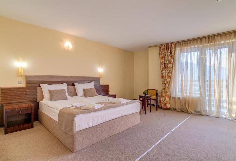 استودیوی استاندارد, Bansko Spa & Holidays   Free Parking