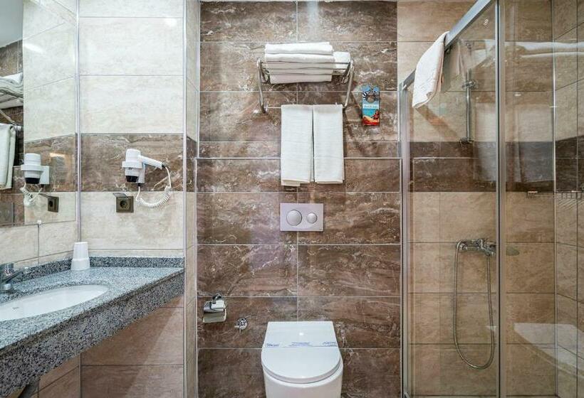 اتاق استاندارد, Blue Star Hotel   All Inclusive