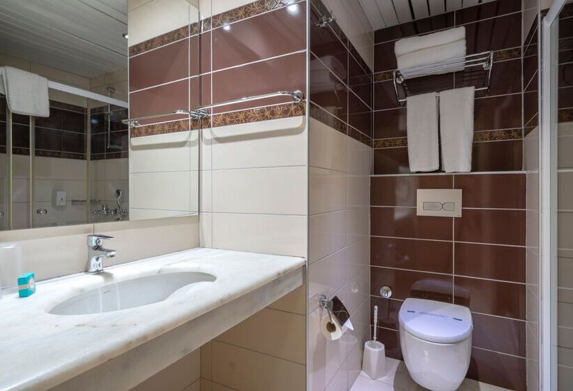 اتاق استاندارد, Blue Star Hotel   All Inclusive