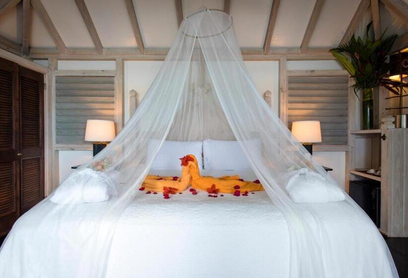 سوییت با استخر, Cocobay Resort Antigua   All Inclusive   Adults Only