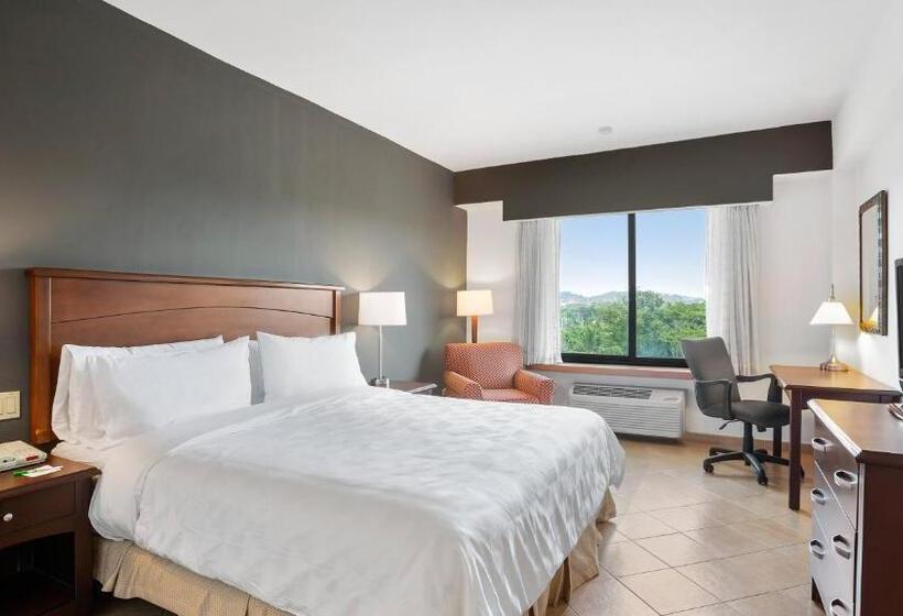 اتاق استاندارد با تخت بزرگ, Holiday Inn Panama Canal, An Ihg