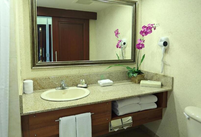 اتاق استاندارد با چشم‌انداز استخر, Holiday Inn Panama Canal, An Ihg