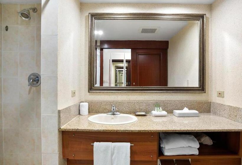 اتاق استاندارد با چشم‌انداز استخر, Holiday Inn Panama Canal, An Ihg