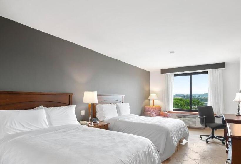 اتاق استاندارد با چشم‌انداز, Holiday Inn Panama Canal, An Ihg