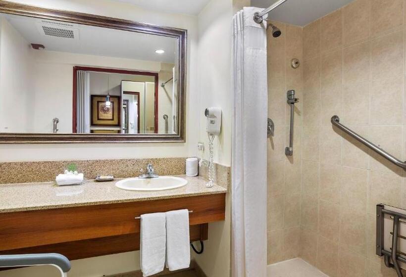 اتاق استاندارد برای معلولان, Holiday Inn Panama Canal, An Ihg