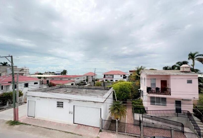 اتاق اکونومی, Las Palmas