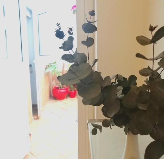 اتاق استاندارد در طبقه همکف, Un Patio Al Sur