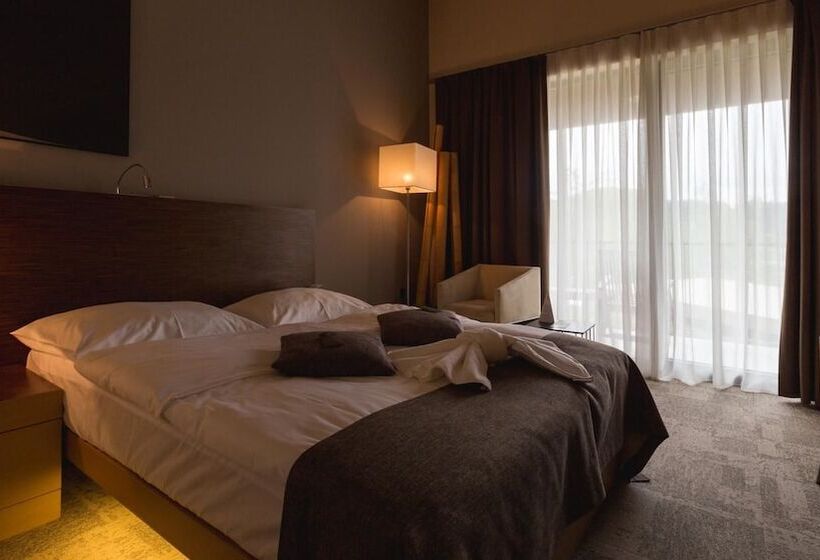 اتاق سوپریور, Terme Olimia   Hotel Sotelia