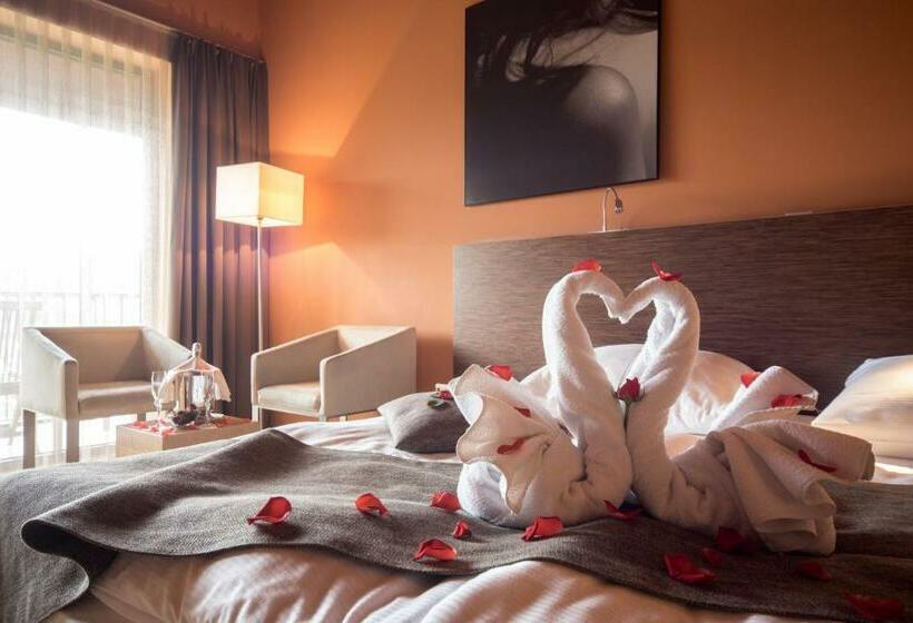 اتاق سوپریور, Terme Olimia   Hotel Sotelia