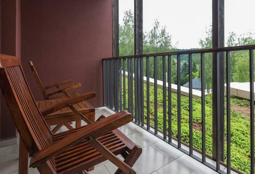 اتاق استاندارد یک نفره, Terme Olimia   Hotel Sotelia
