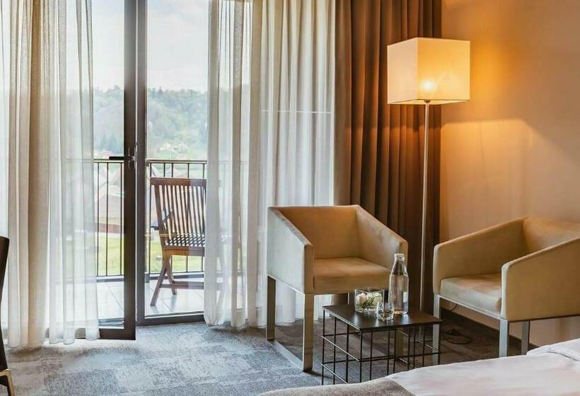 اتاق استاندارد با چشم‌انداز استخر, Terme Olimia   Hotel Sotelia