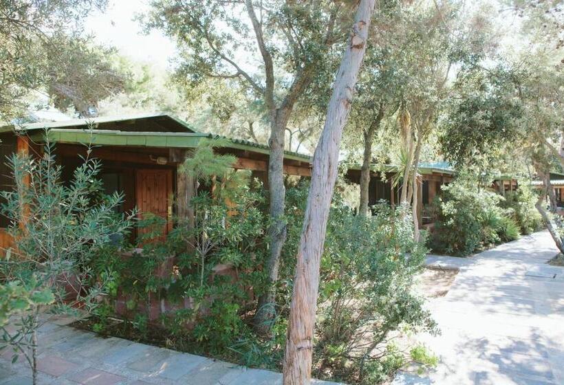 بانگلوی استاندارد, Villaggio Camping Torre Del Porticciolo
