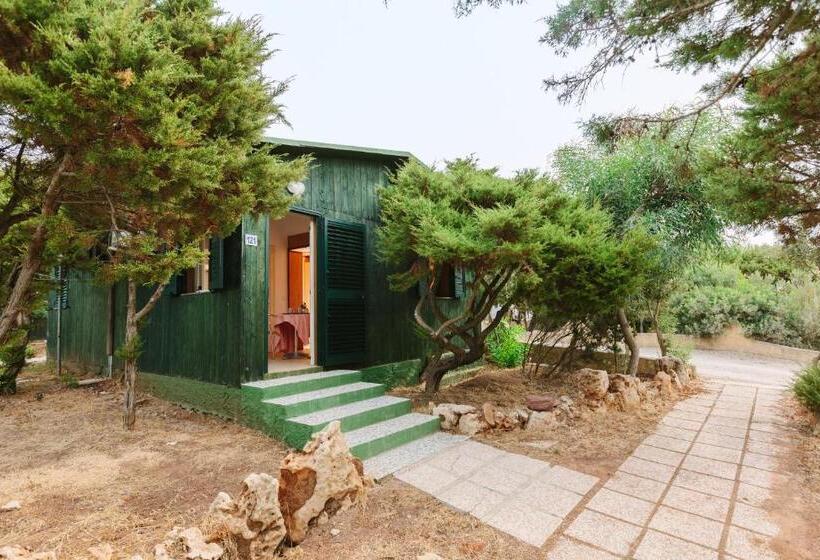اتاق استاندارد, Villaggio Camping Torre Del Porticciolo