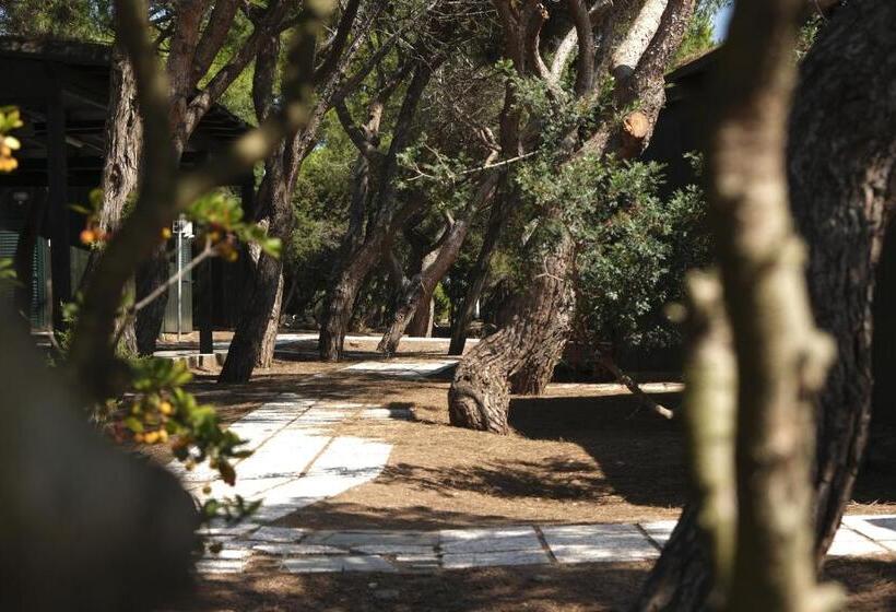 اتاق استاندارد, Villaggio Camping Torre Del Porticciolo