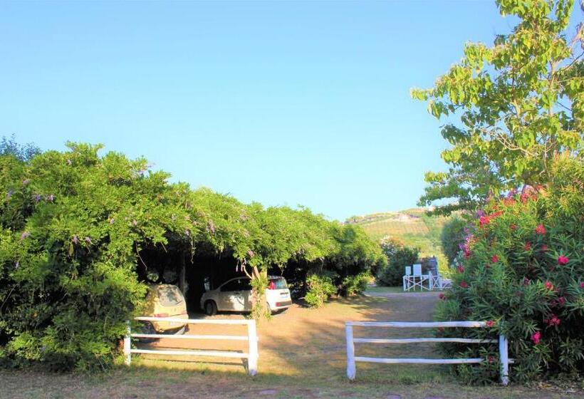 آپارتمان 1 خوابه, Agriturismo Arundineto Valle   By Bolgheri Holiday