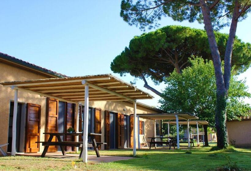 آپارتمان 1 خوابه با تراس, Agriturismo Arundineto Valle   By Bolgheri Holiday
