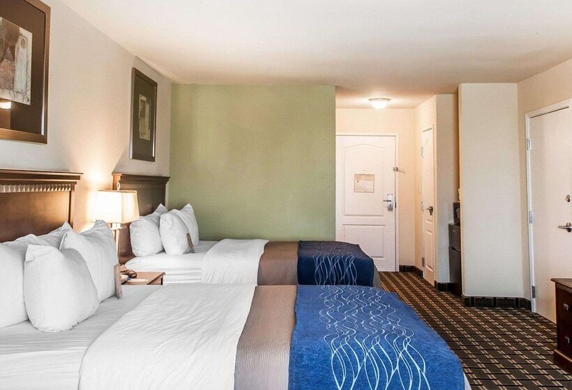 اتاق استاندارد با 2 تخت دوبل, Comfort Inn & Suites