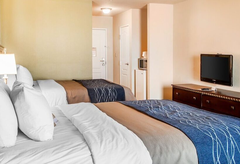 اتاق استاندارد با 2 تخت دوبل, Comfort Inn & Suites