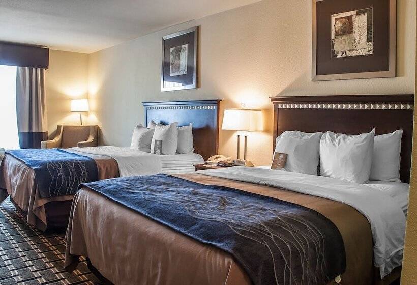 اتاق استاندارد با 2 تخت دوبل, Comfort Inn & Suites