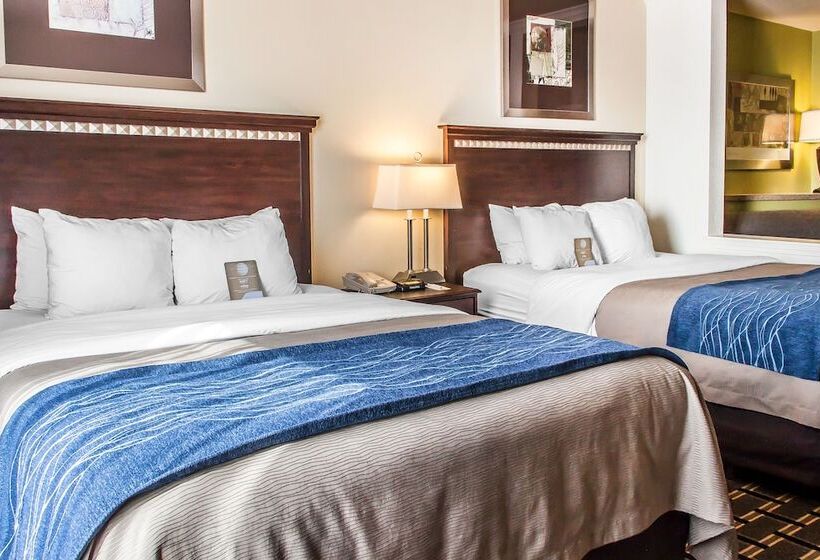 سوییت, Comfort Inn & Suites