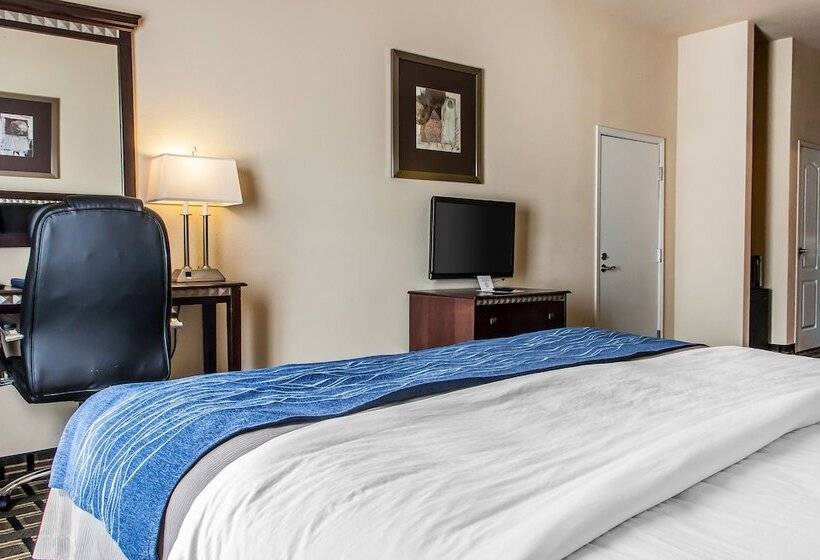 Suite, Comfort Inn & Suites