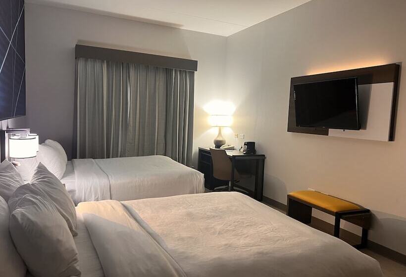 سوییت, Comfort Suites Louisville Airport