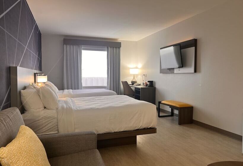 سوییت, Comfort Suites Louisville Airport