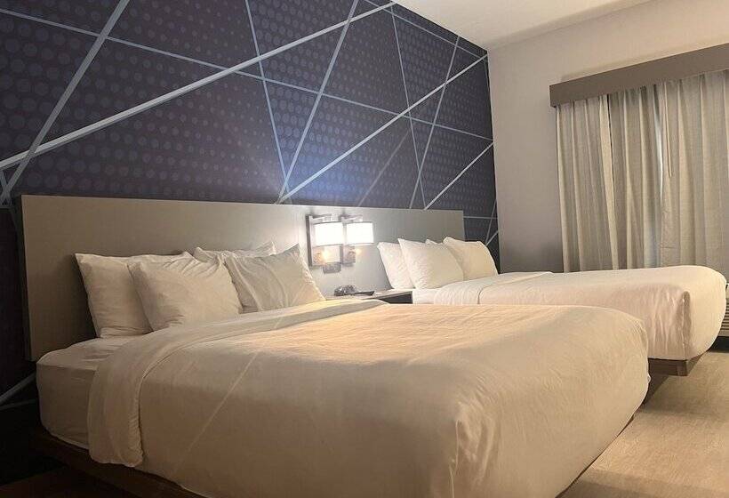 سوییت, Comfort Suites Louisville Airport