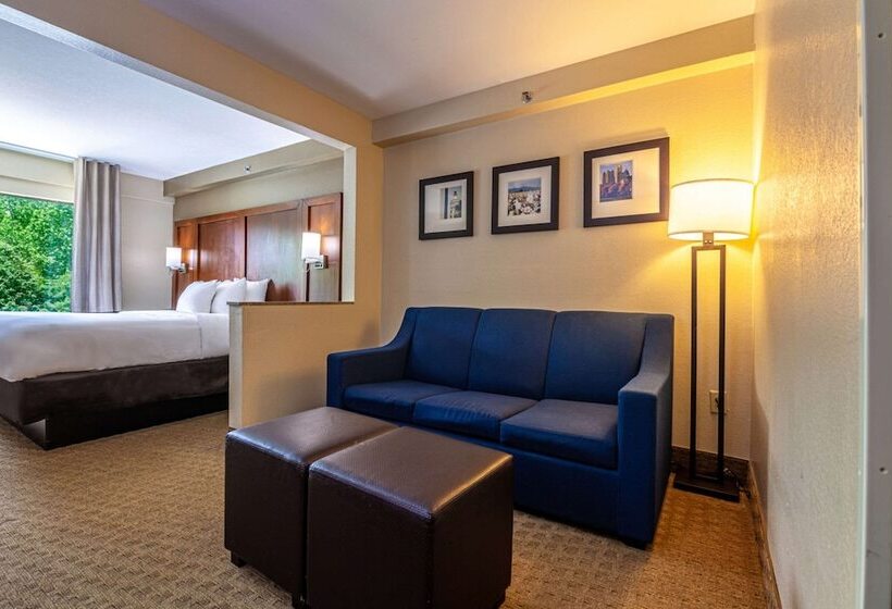 Suite Adaptada para personas con movilidad reducida, Comfort Suites Morrow Atlanta South