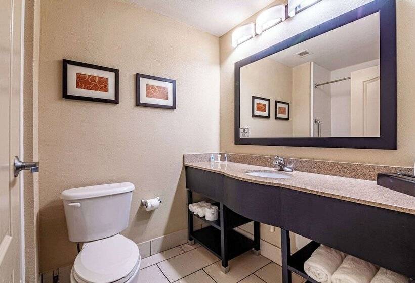 Suite Adaptée aux Personnes à Mobilité Réduite, Comfort Suites Morrow Atlanta South