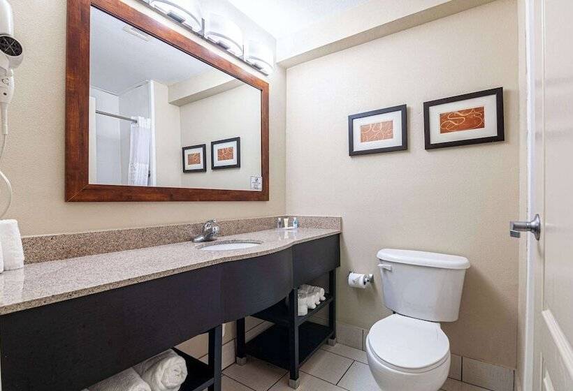 Suite Adaptée aux Personnes à Mobilité Réduite, Comfort Suites Morrow Atlanta South