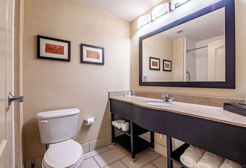 سوئیت با وان آب گرم, Comfort Suites Morrow Atlanta South