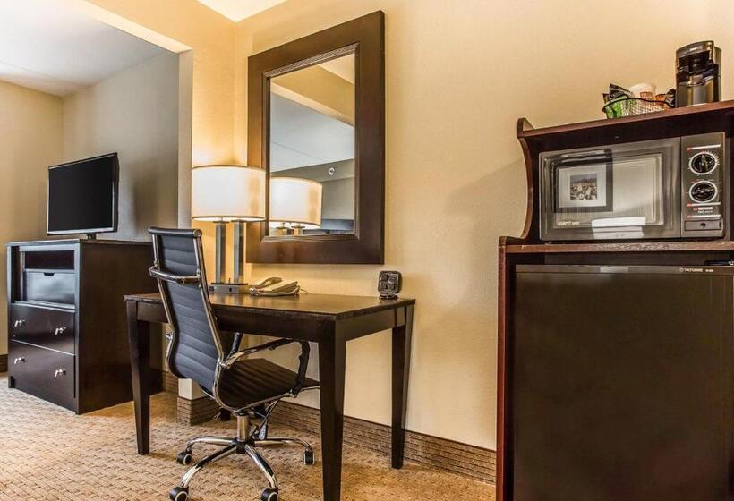 Suite Cama King, Comfort Suites Morrow Atlanta South