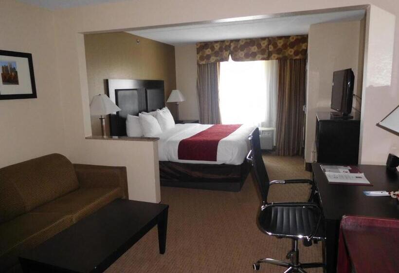 سوئیت با تخت بزرگ, Comfort Suites Morrow Atlanta South