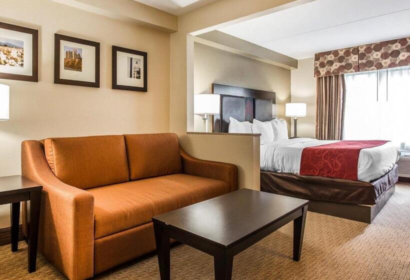 Suíte Cama King, Comfort Suites Morrow Atlanta South