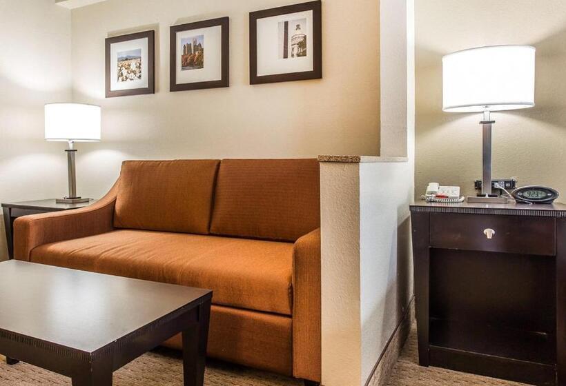 Suite Adaptada para personas con movilidad reducida, Comfort Suites Morrow Atlanta South