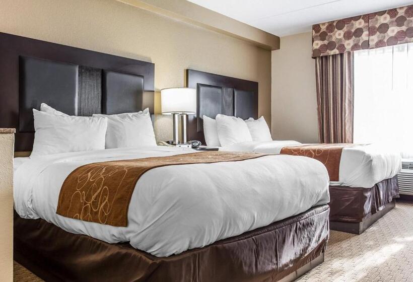 جناح لذوى الاحتياجات الخاصة, Comfort Suites Morrow Atlanta South