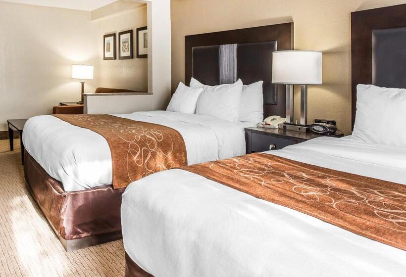 Suite Adaptée aux Personnes à Mobilité Réduite, Comfort Suites Morrow Atlanta South