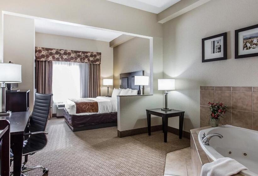 سوئیت با وان آب گرم, Comfort Suites Morrow Atlanta South