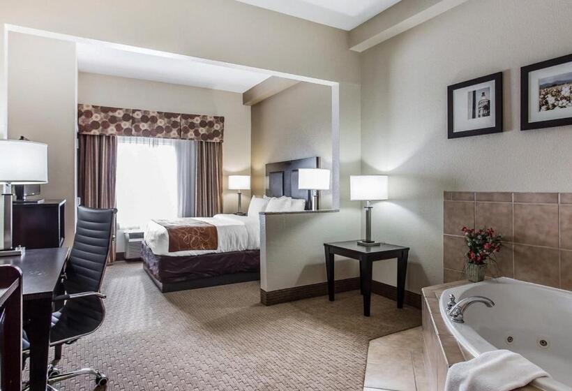 Suite con Hidromasaje, Comfort Suites Morrow Atlanta South