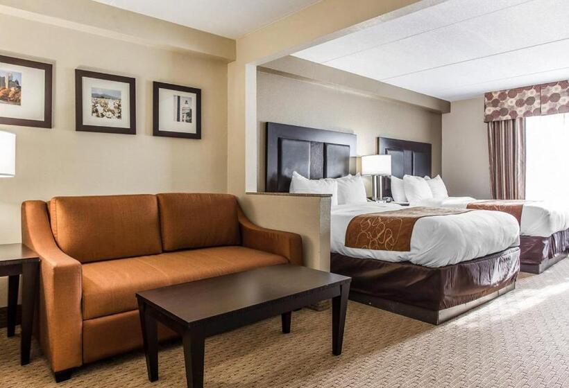 سوئیت با وان آب گرم, Comfort Suites Morrow Atlanta South