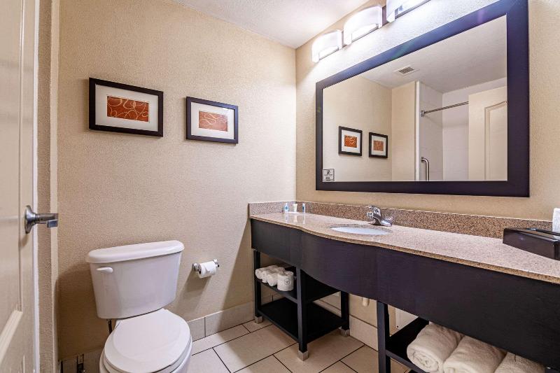 سوئیت با تخت بزرگ, Comfort Suites Morrow Atlanta South