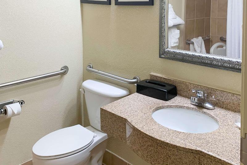 سوئیت با تخت بزرگ, Comfort Suites Morrow Atlanta South