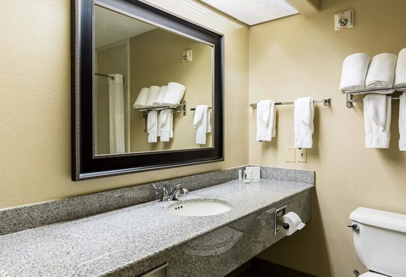 سوییت, Comfort Suites Westchase Houston Energy Corridor