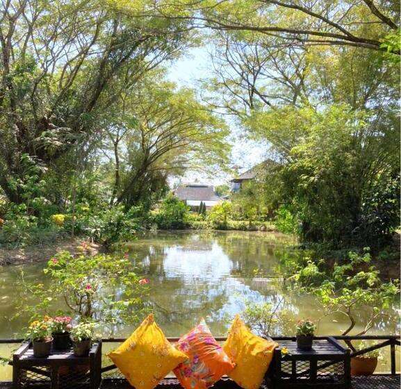 اتاق خانوادگی, Ekman Garden Resort