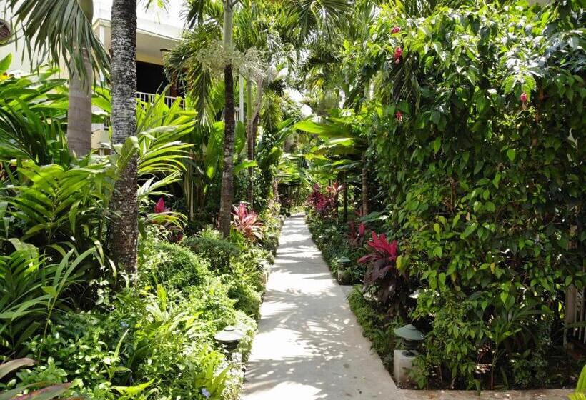 اتاق استاندارد با تخت بزرگ, Negril Palms